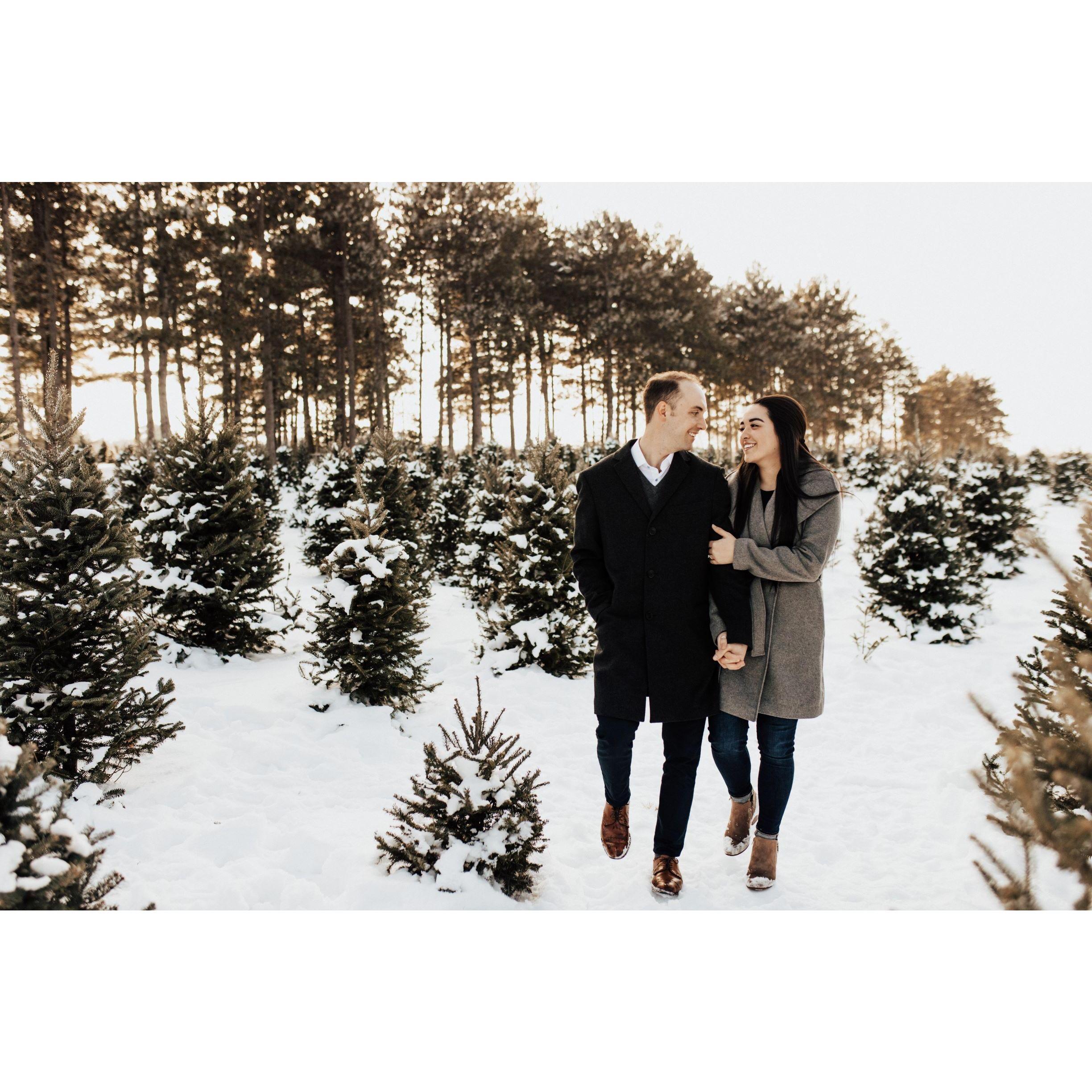 Engagement photos - Hansen Tree Farm (2021)
