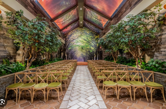 The Wedding Website of Tamarine Carvalho and Ron Gray