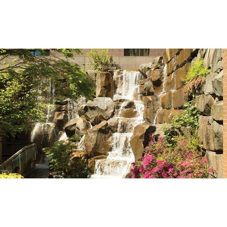 Waterfall Garden Park
