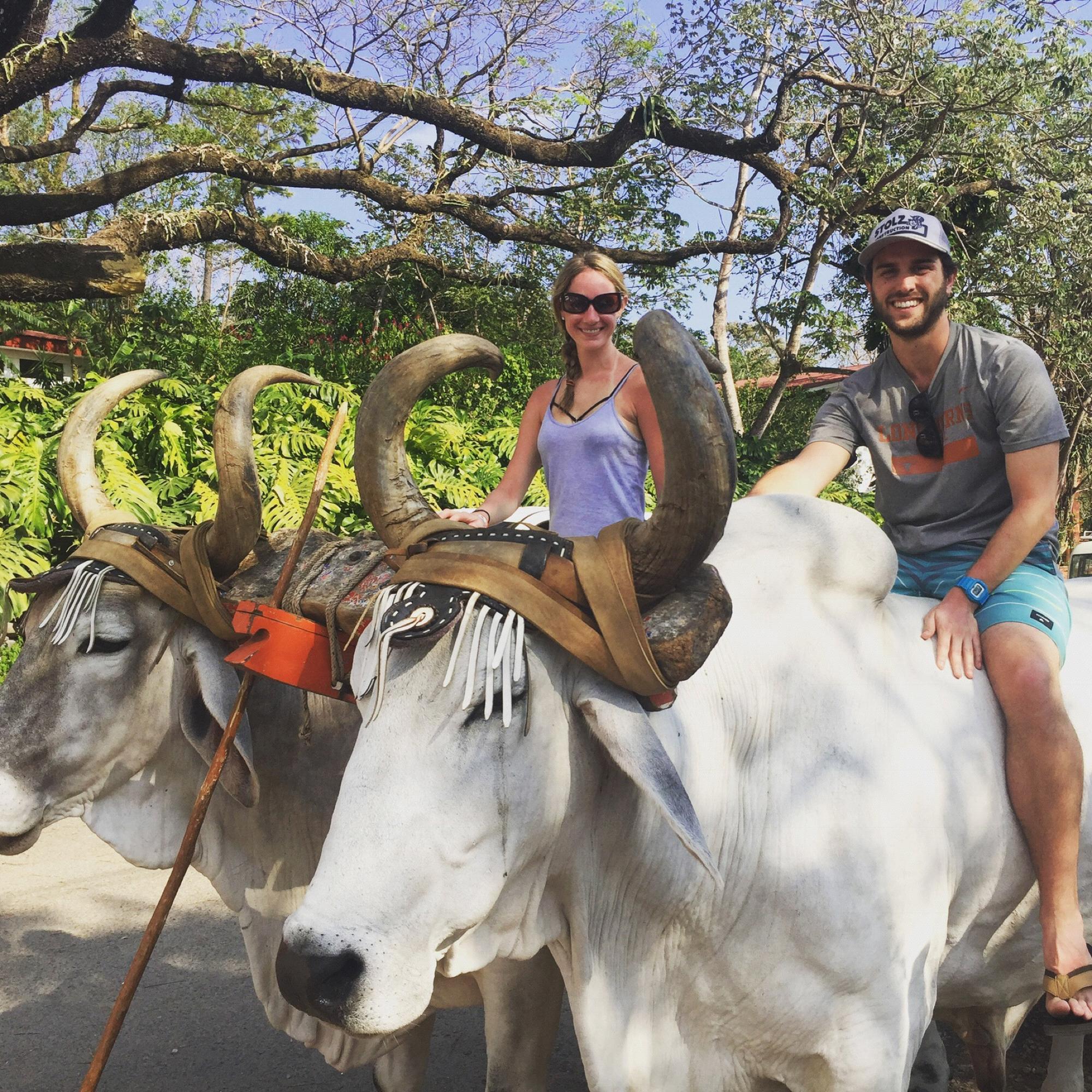 Riding some oxen in Costa Rica