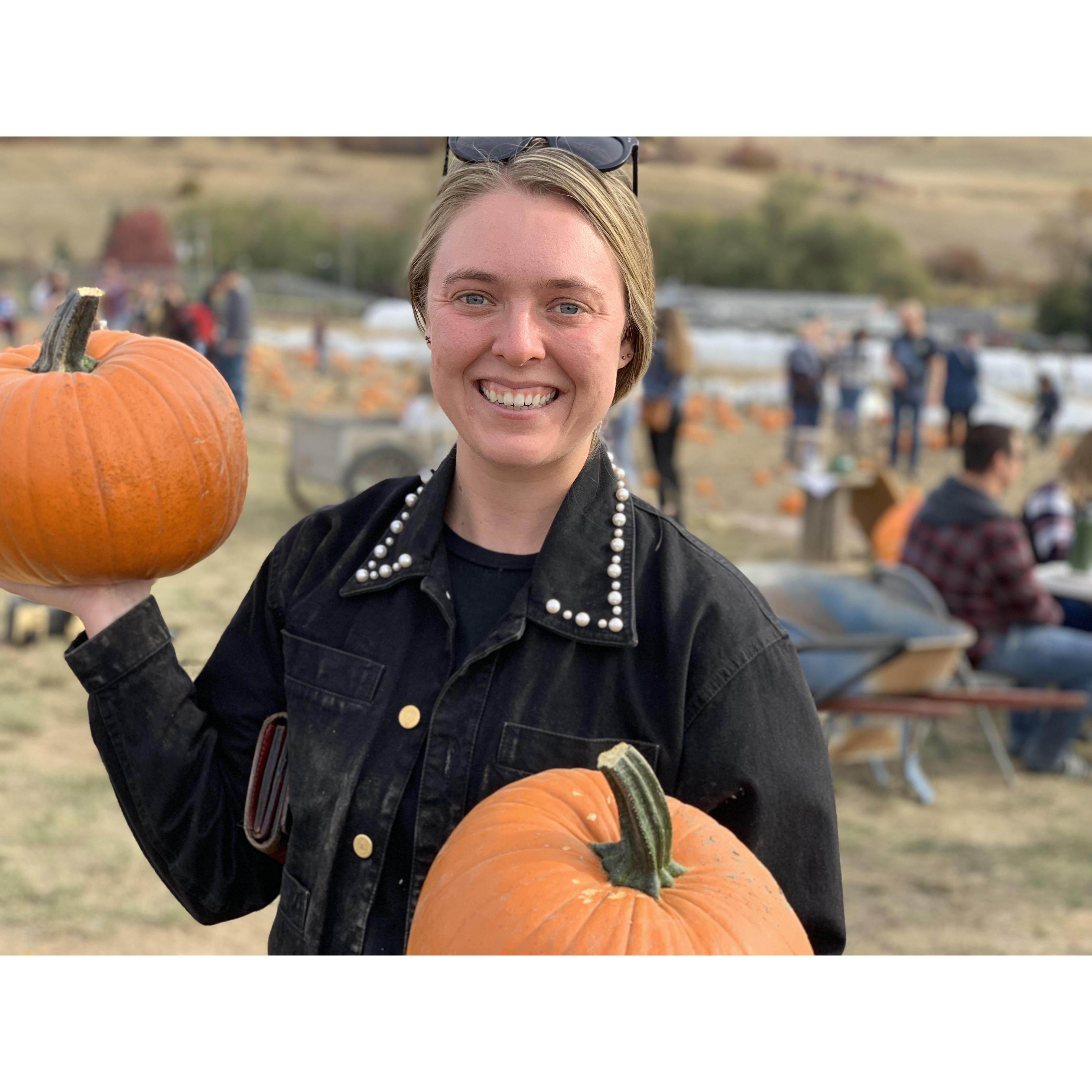 Pumpkin picking at WSU organic farms