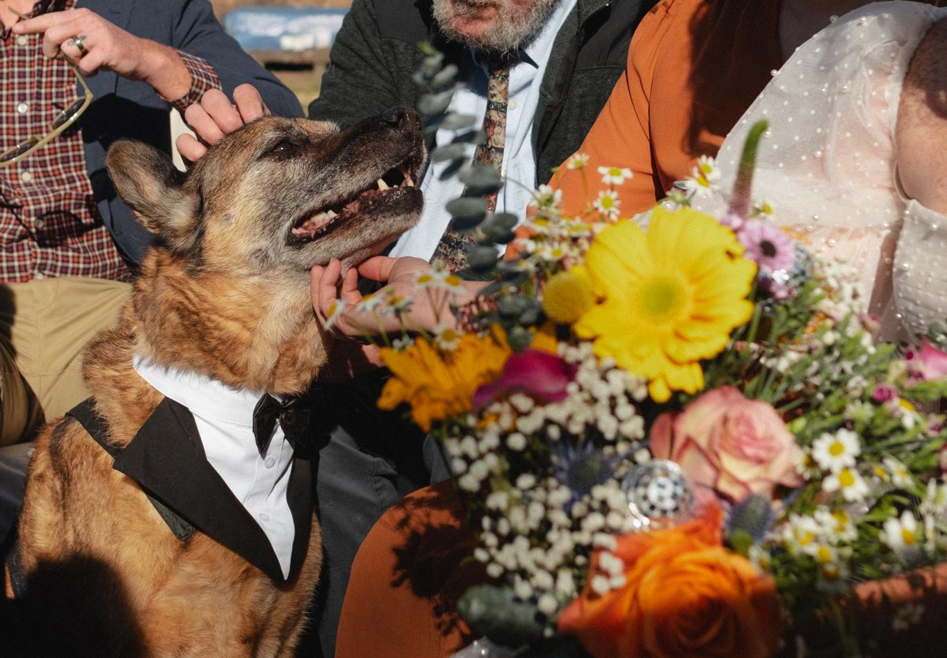 The Wedding Website of Katie Aasen and Jeffrey Heidorn