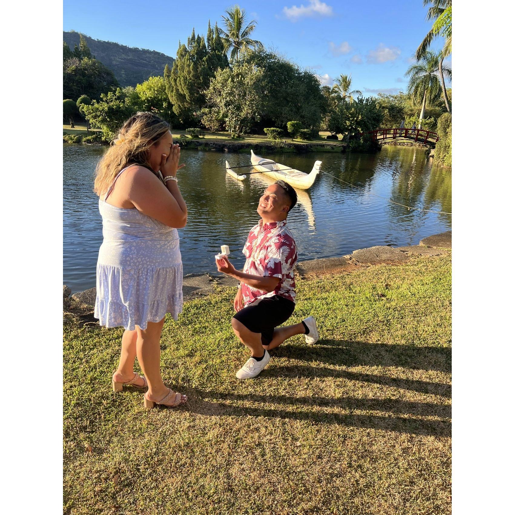 Our Engagement in Kauai, HI.