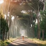 Parco Regionale Migliarino, San Rossore, Massaciuccoli