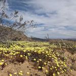 Nancy Karl Trailhead (Southeast)