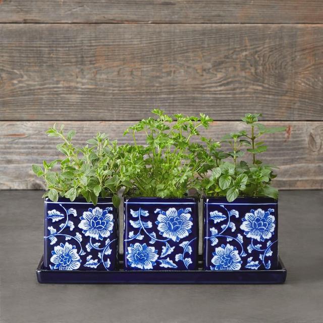 Blue & White Ceramic Herb Tray with Pots, Set of 3