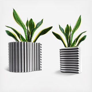 Arlo 2-Piece Curved 3D Printed Planter Set