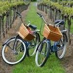 Grape Escape Wine Tours