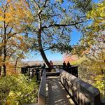 Weston Bend State Park