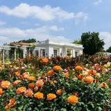 The Huntington Library, Art Museum, and Botanical Gardens