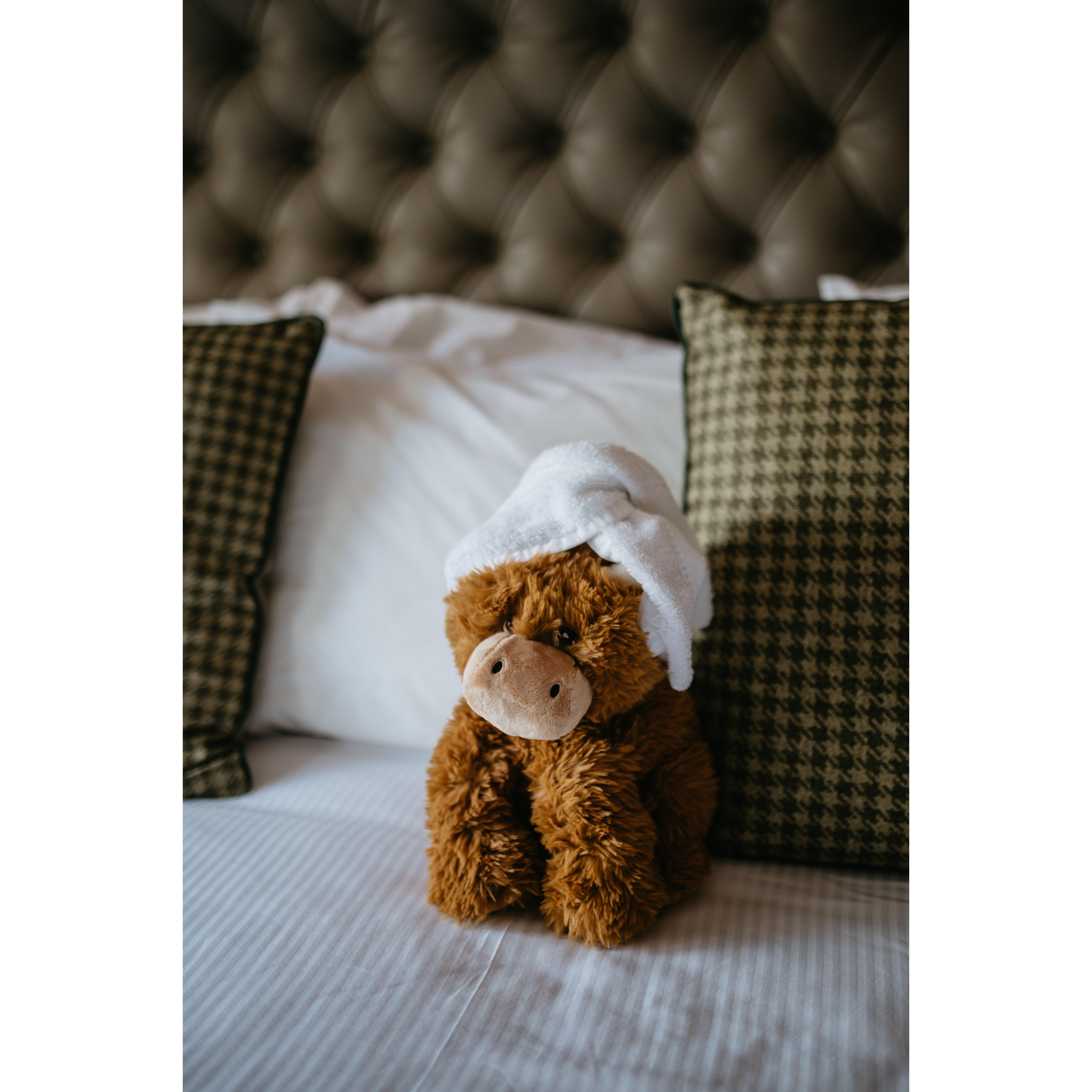 Our thank you gifts to everyone was a sponsorship to a highland coo through Dumble Farm. The sponsorships came with stuffies, and the hotel staff dressed them like a cruise ship would in the morning!