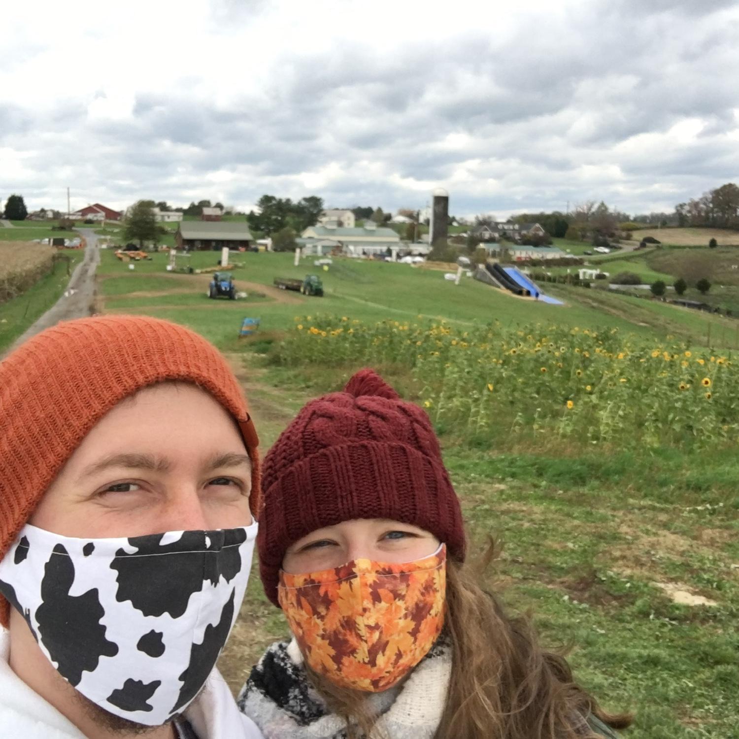A pumpkin patch near Blacksburg.