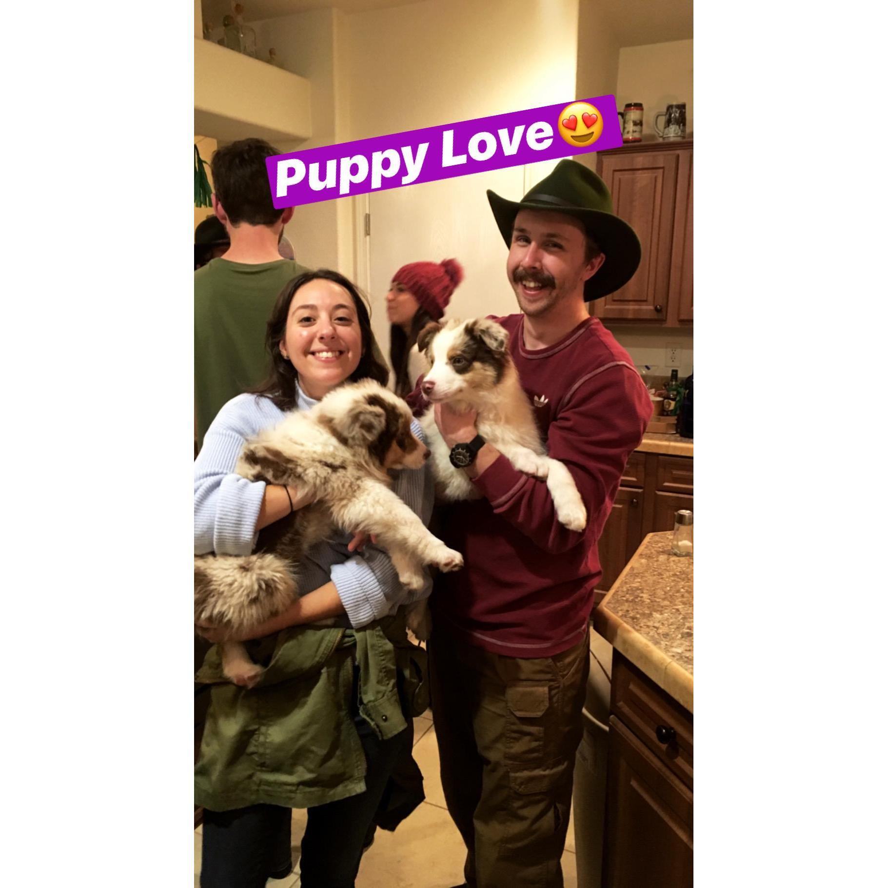 Hanging with friends and their dogs, December 2019