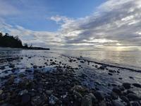 Birch Bay State Park