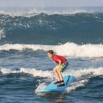 Surfer Bear Hawaii - Surf lessons