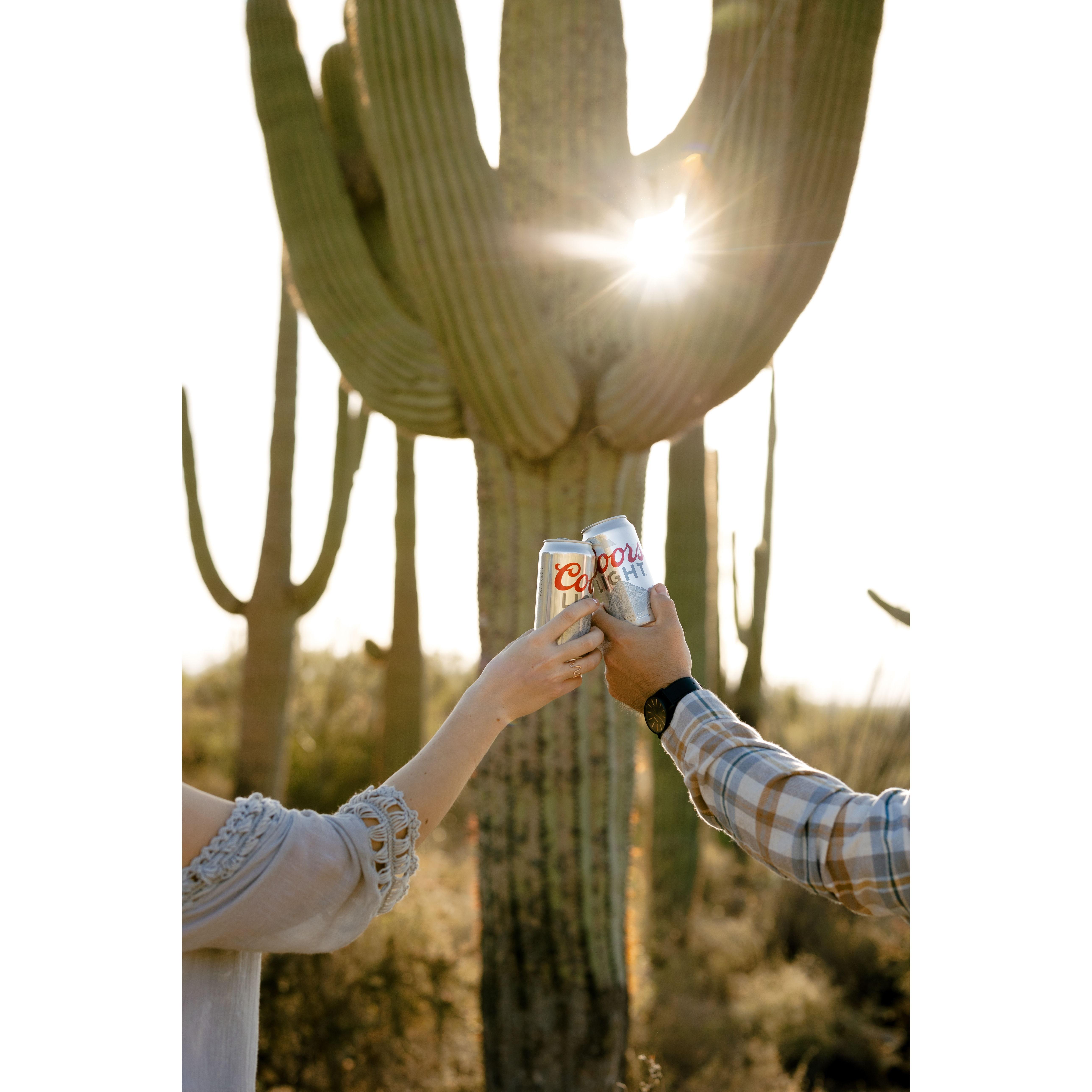 Photo by Meg Brooke Photography, Saguaro National Park