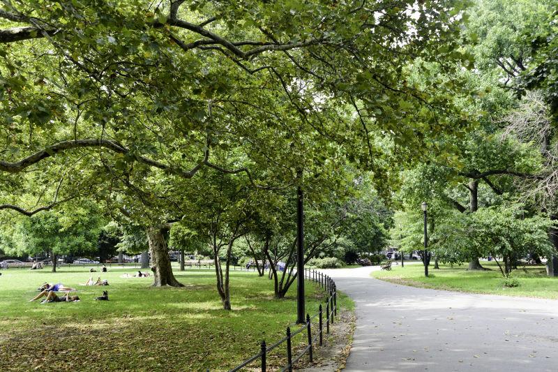 The Wedding Website of Sarah Foley and Pete Wendland