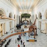 Field Museum