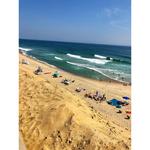 Beachcomber in Wellfleet