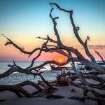Big Talbot Island State Park/ Black Rock Beach/ Boneyard Beach