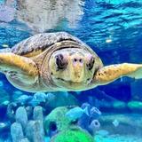 Oklahoma Aquarium