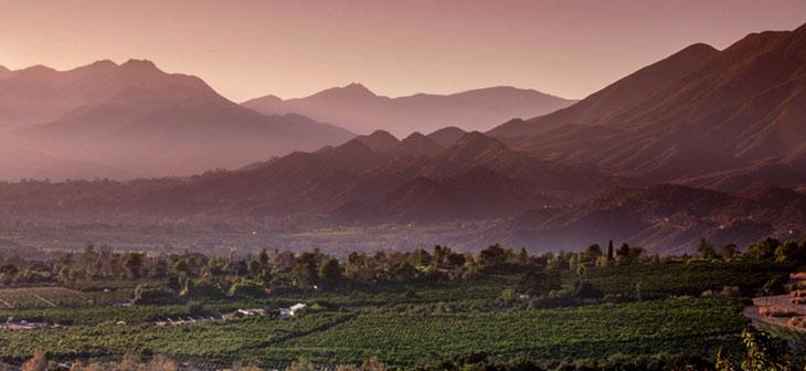 The Wedding Website of Payden Bennett and Brian Roberts