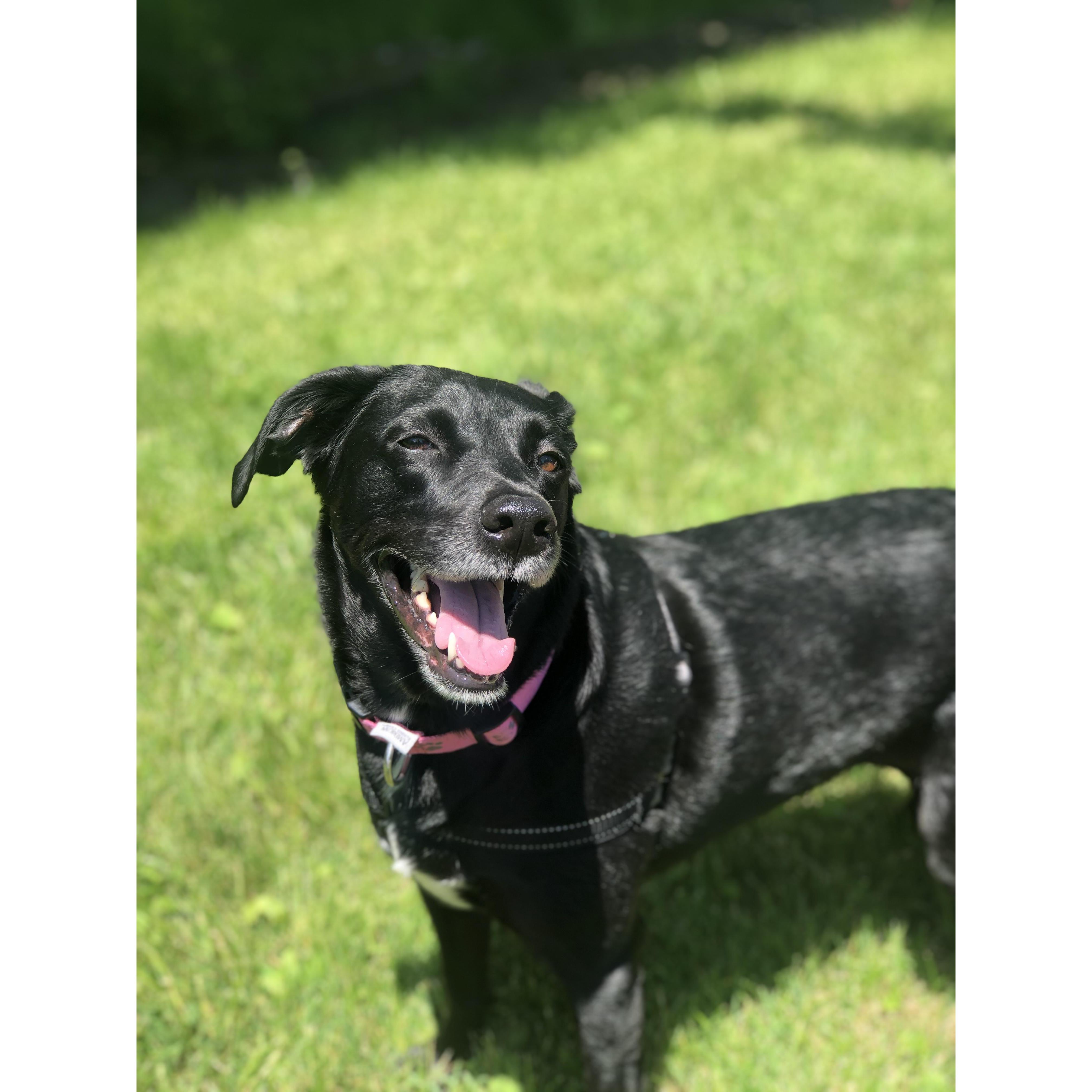 Olive, the light of our lives.