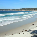 Carmel Beach