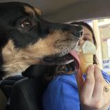 Handle's Homemade Ice cream