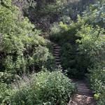 River Place Nature Trail Canyon