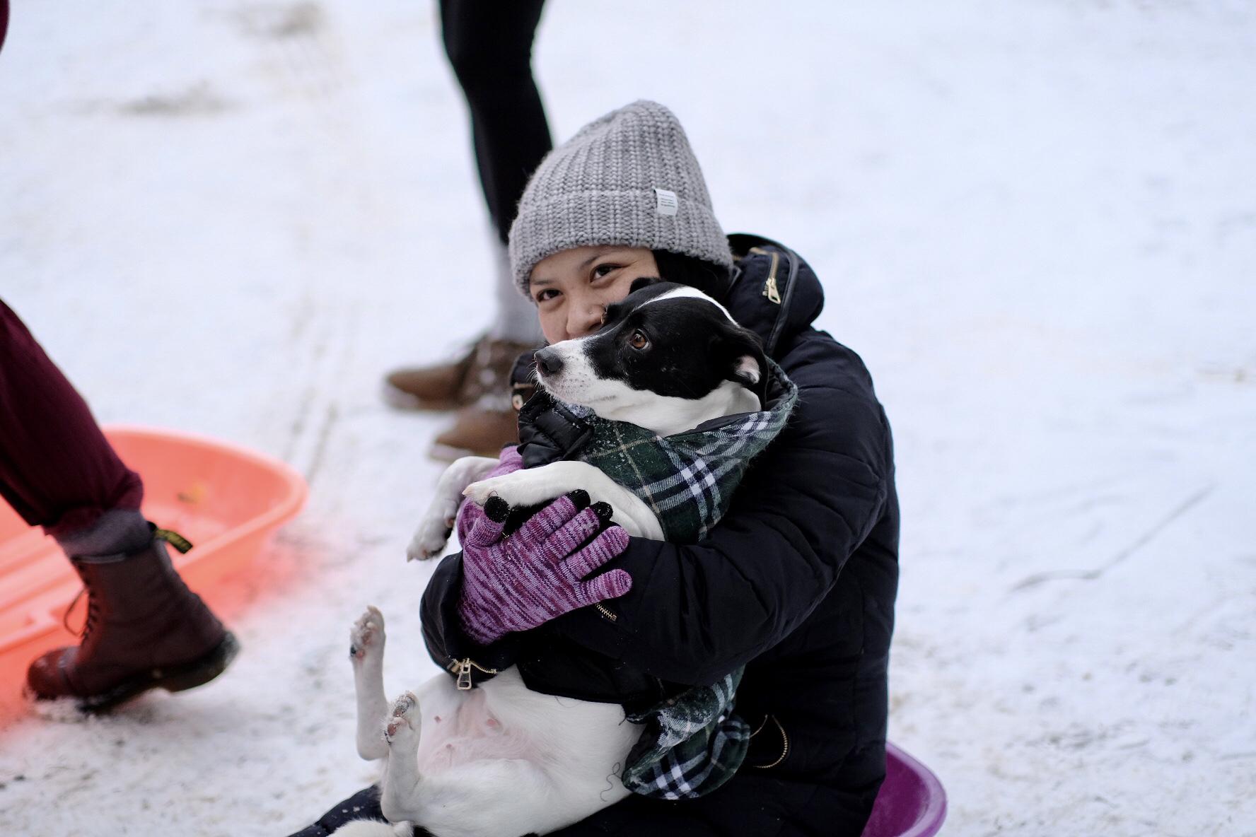 Wynnie did *not* enjoy sledding but *loved* the snow