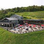 Bluemont Vineyard