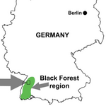 Black Forest