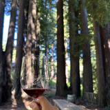 Beauregard Vineyards