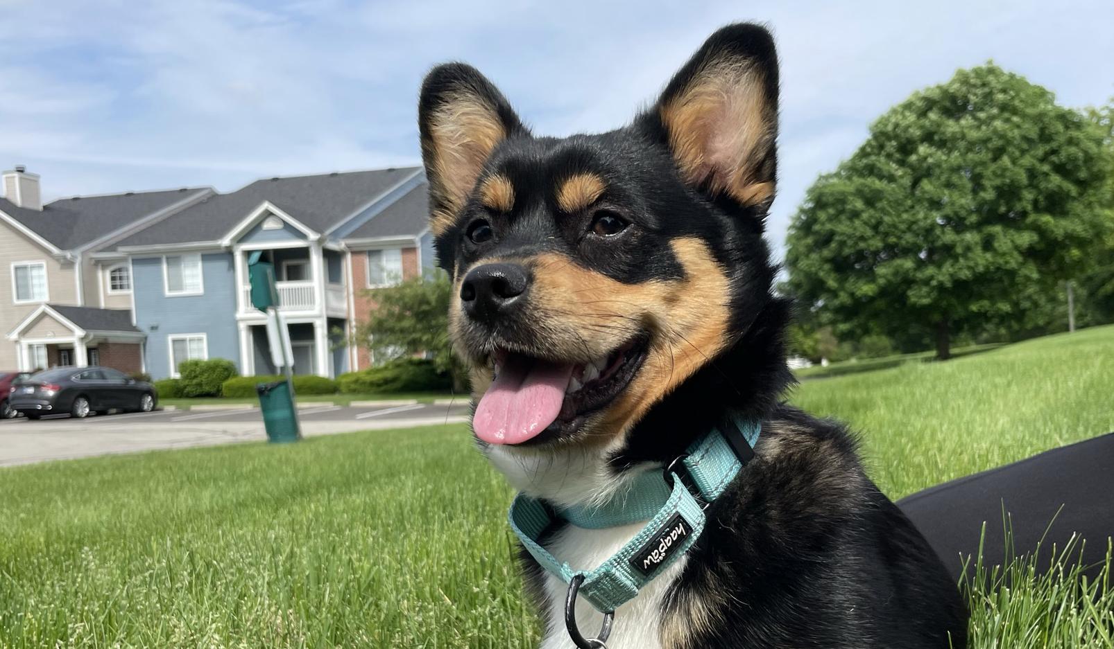 The Wedding Website of Emma Shields and Austin Ewing