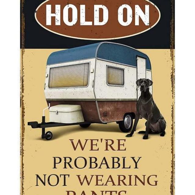 8x12 IN Camper Decor Sign, Camper Accessories for Inside,Hold on We'Re Probably not Wearing Pants Funny Camping signs Suitable for RV, Bar, Man Cave, Indoor and Outdoor on The Wall, Aluminum Sign Measures es