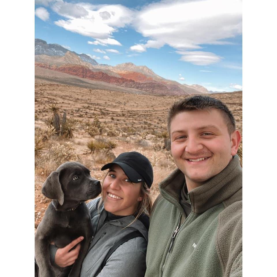 Settling into Nevada with a new dog, a new house and planning our wedding!