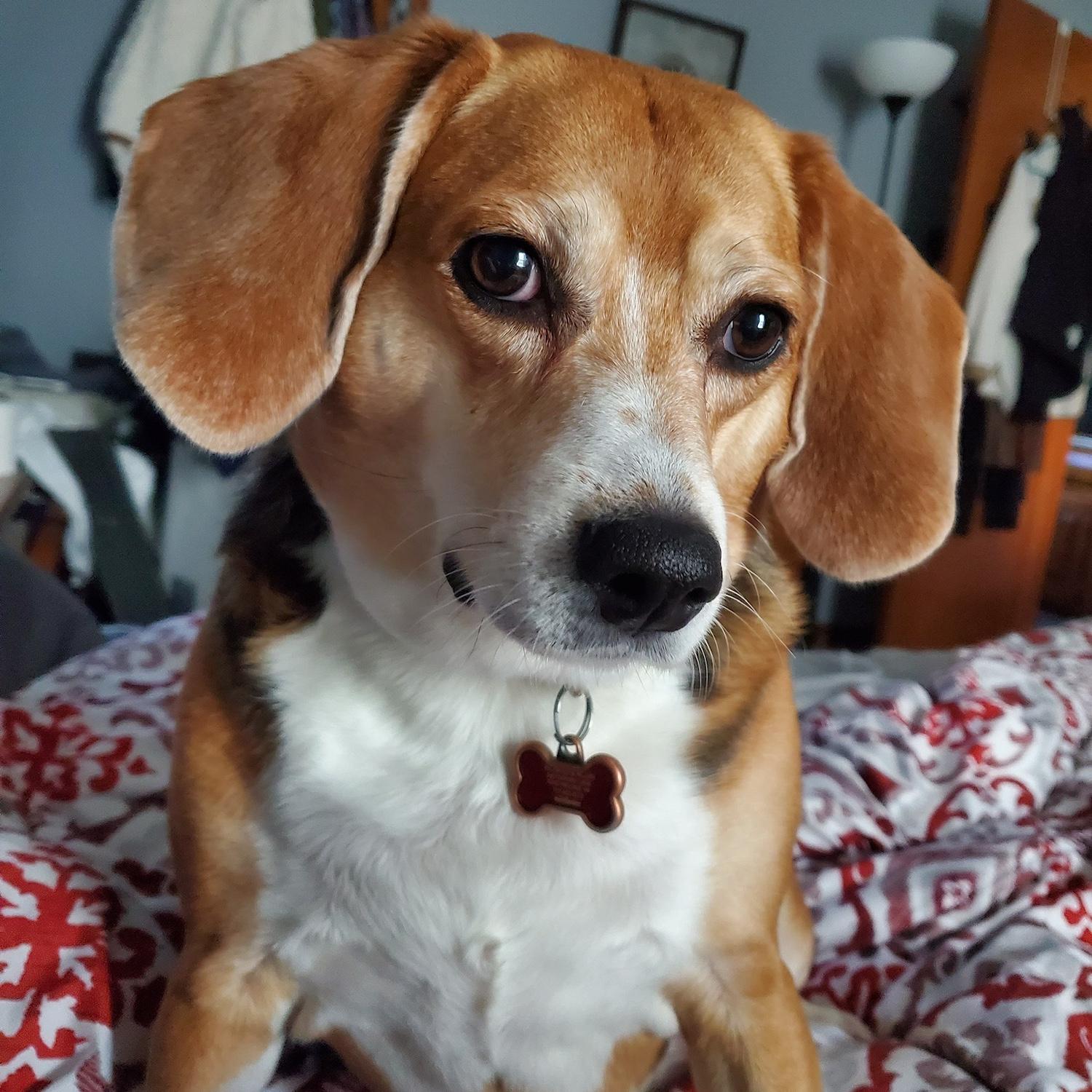 Our Riley.
