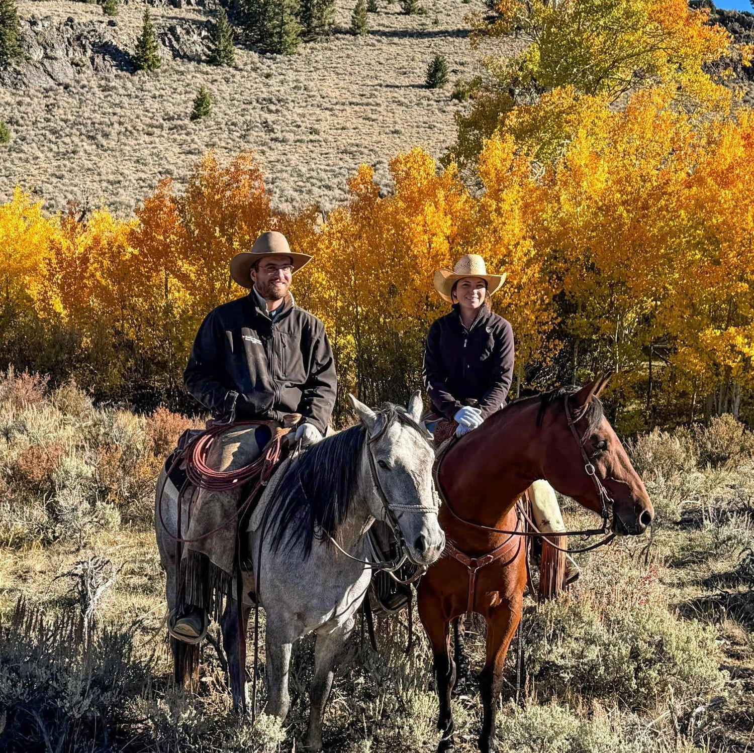 Enjoying the fall colors while moving cows off the mountain 9-25-25