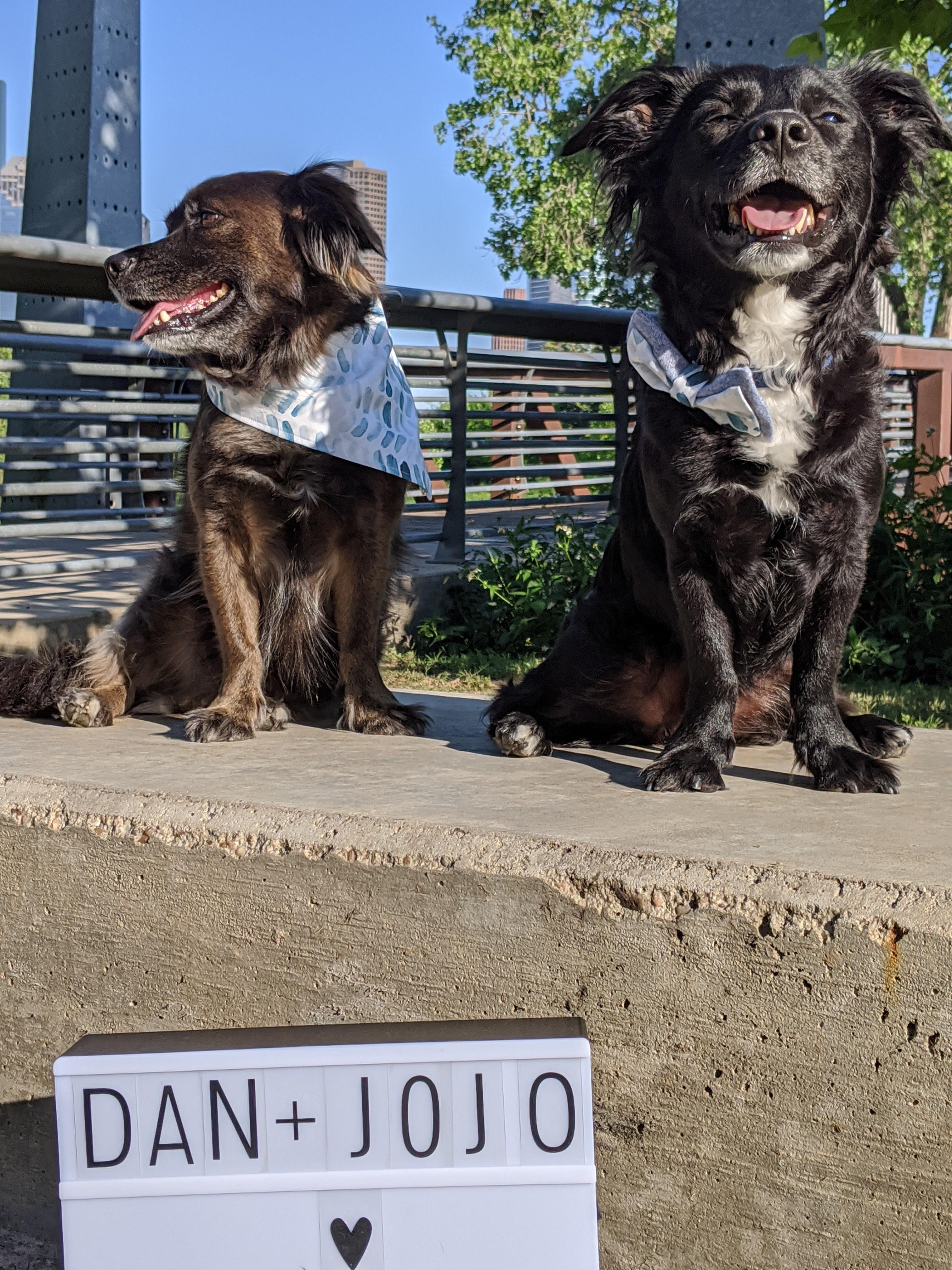 The Wedding Website of Kurchi Basu and Daniel Aspden