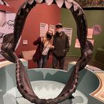 The Charleston Museum