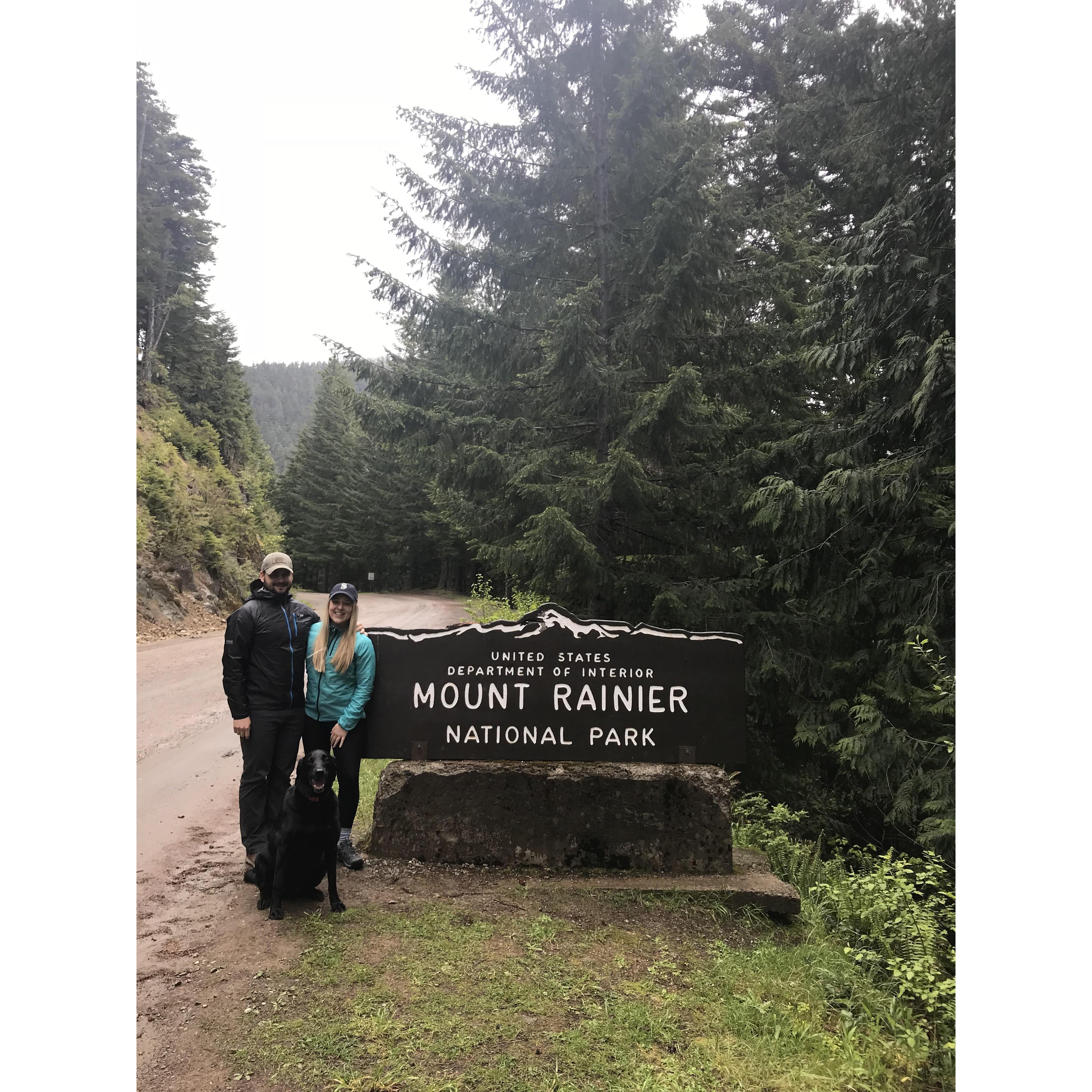 Mt. Rainer National Park