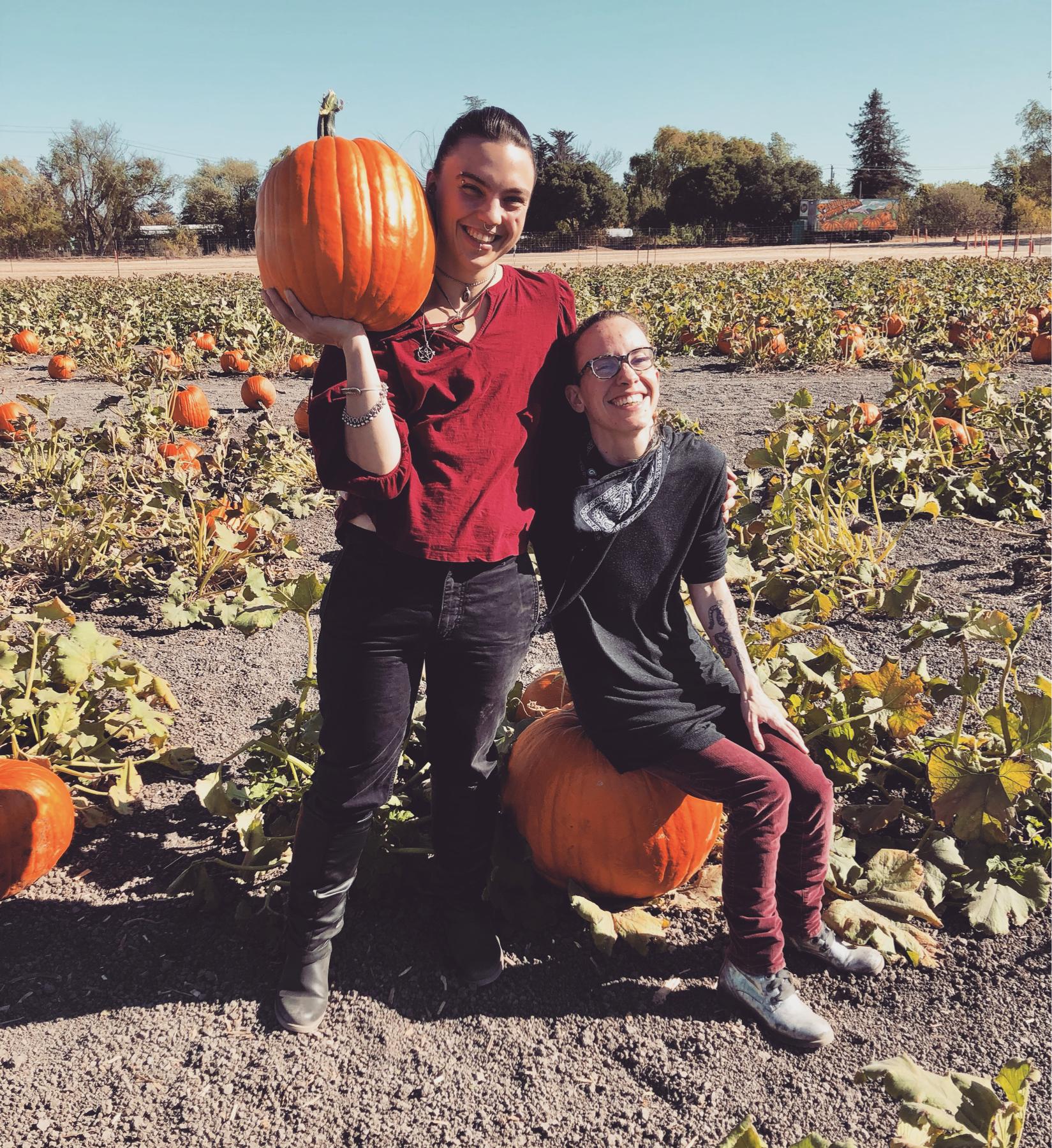Pumpkin patch!
