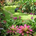 Hunte's Gardens