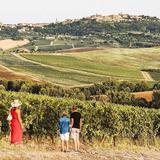 Vino Nobile di Montepulciano wine tour