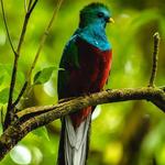 Braulio Carrillo National Park