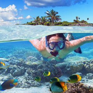 Snorkeling