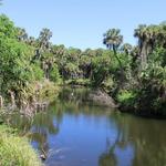 Turkey Creek Sanctuary