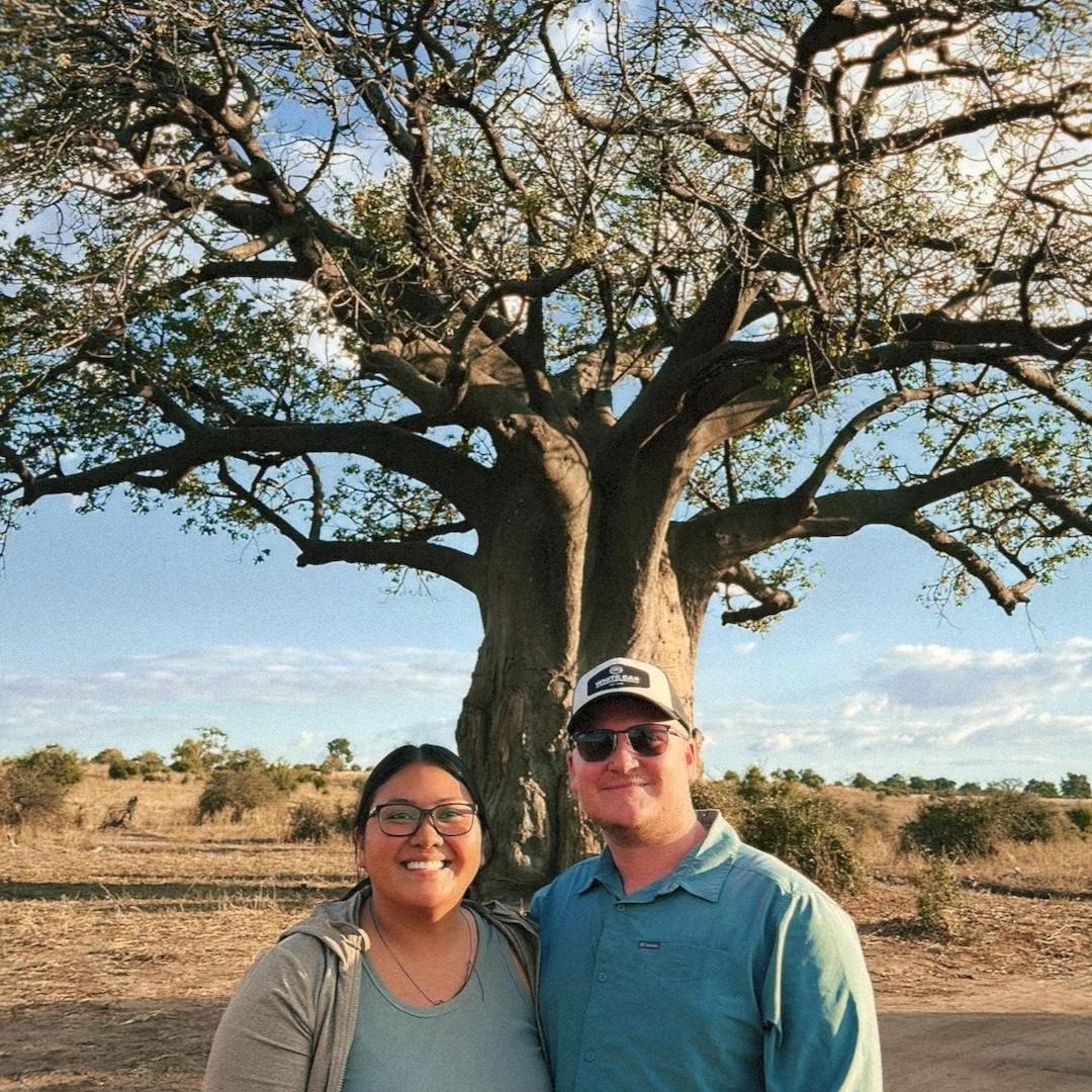 🇧🇼 The biggest baobab tree in Chobe National Park, Botswana 🌳