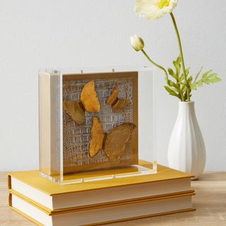 Shadow Box Acrylic Frame